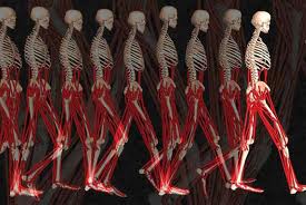 walking skeleton