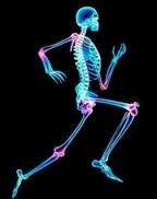 running skeleton 2