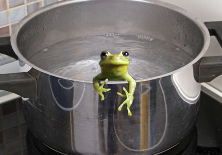 Frog In Pot 